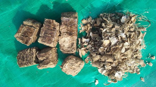 生物质燃料热值报价 厂家