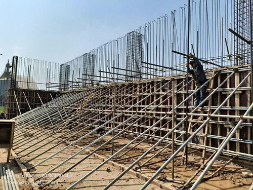 刘晓峰一行莅临玻利维亚圣胡利安大豆副产品加工厂项目并慰问员工