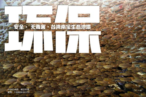 育苗池漆与养殖池漆在循环水工厂化水产养殖中的核心作用机理